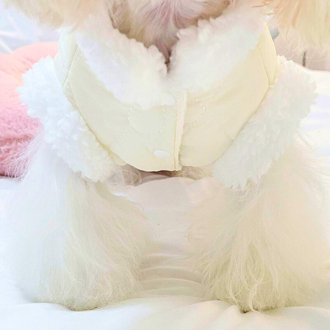 Vestidinho de Inverno | Para Cachorro e Gato
