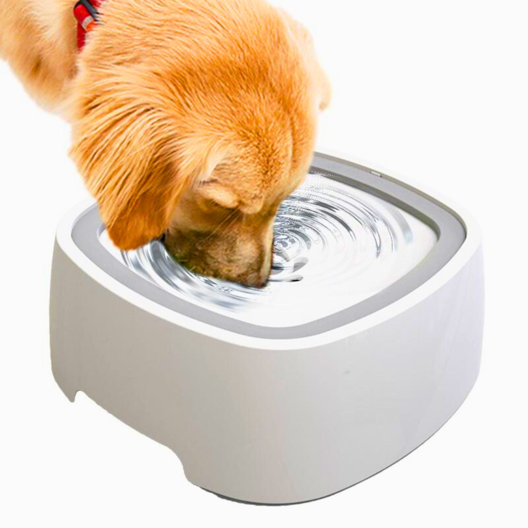 Bebedouro Anti Respingos | Para Cachorro e Gato