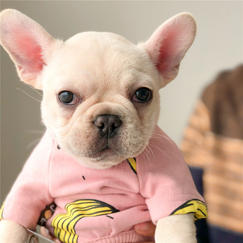 Macacão Bananinha | Para Cachorro