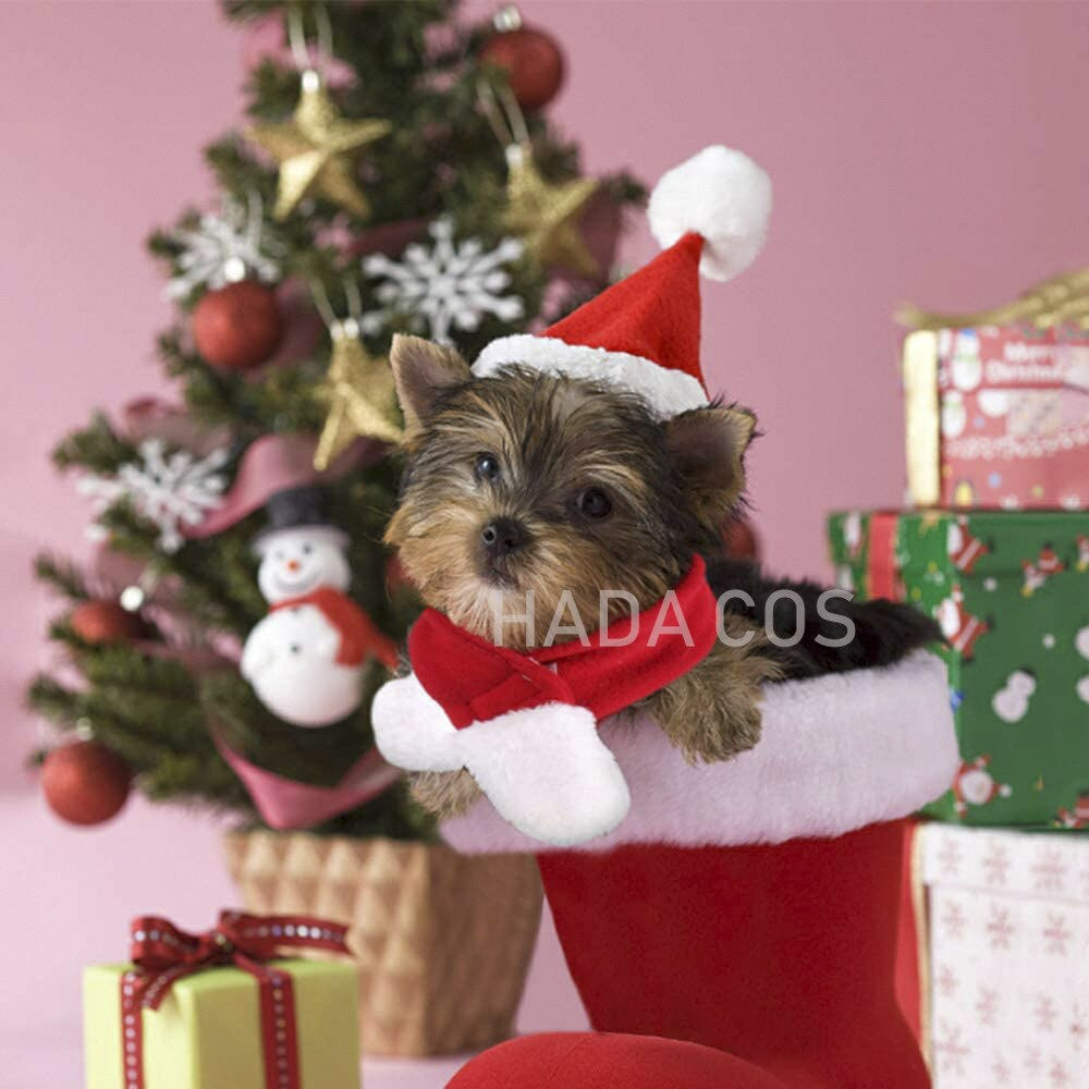 Conjuntinho de Natal Pet | Para Cachorro e Gato