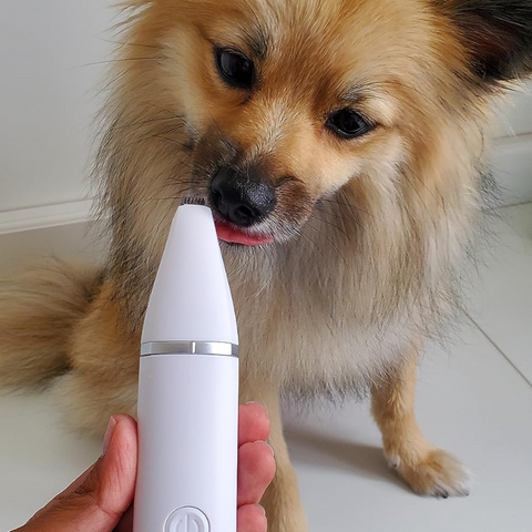 PawTrim 4 em 1 - Kit Completo de Corte para Pets
