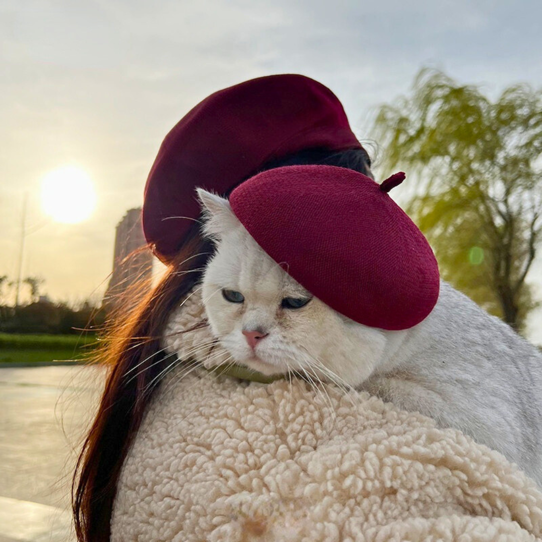 Boina Pet | Para Cachorro e Gato