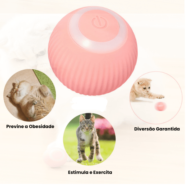 Bolinha Interativa com Rolamento Automático