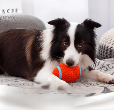 Brinquedo Bola Super Resistente para Pets com Costura Super Reforçada