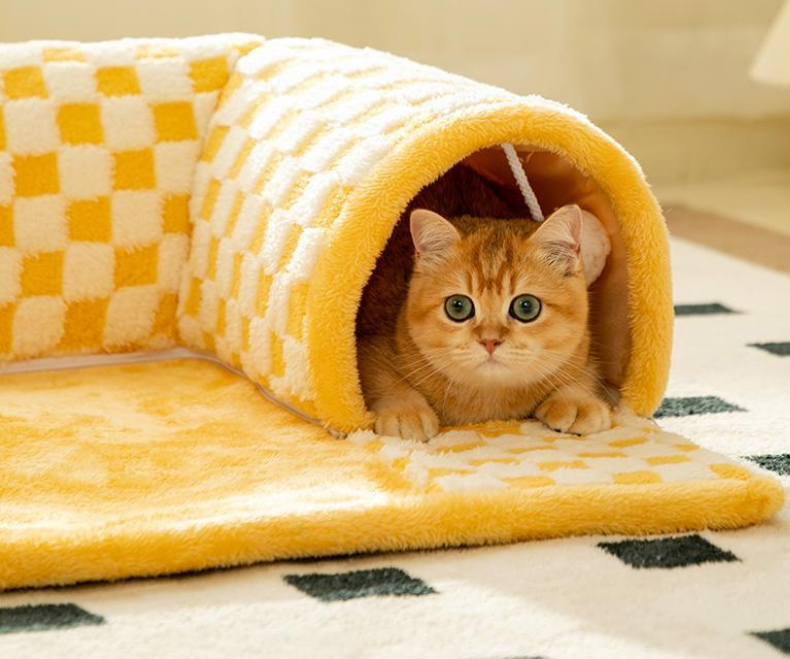 Cama e Túnel para Gatos