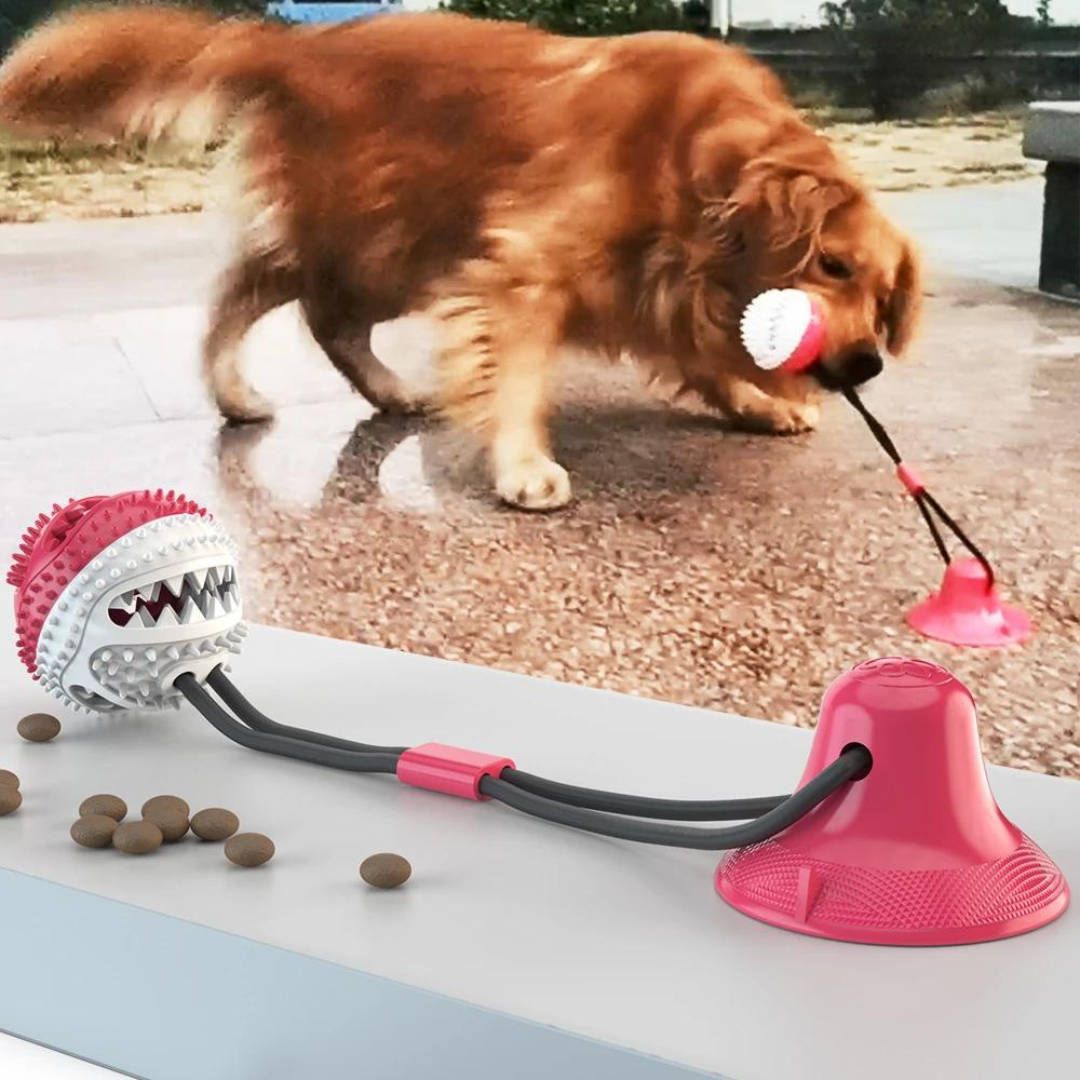 Cabo de Guerra com Porta Petiscos e Mordedor para Cachorro