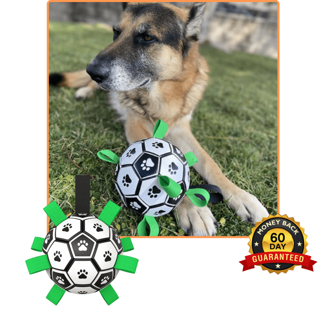 Soccer Ball Petz - A escolha divertida para o seu cãozinho