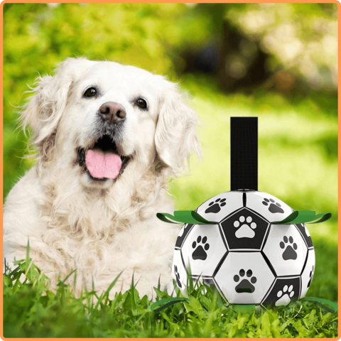 Soccer Ball Petz - A escolha divertida para o seu cãozinho
