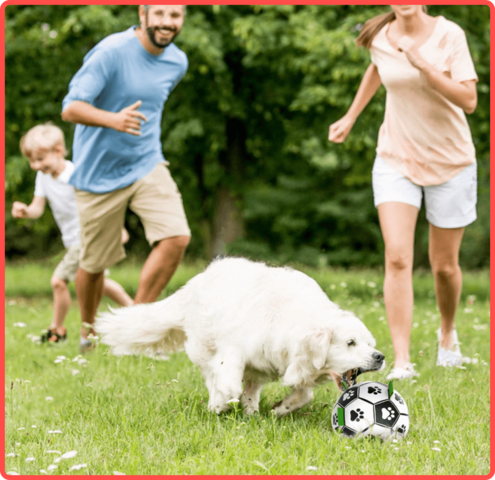 Soccer Ball Petz - A escolha divertida para o seu cãozinho