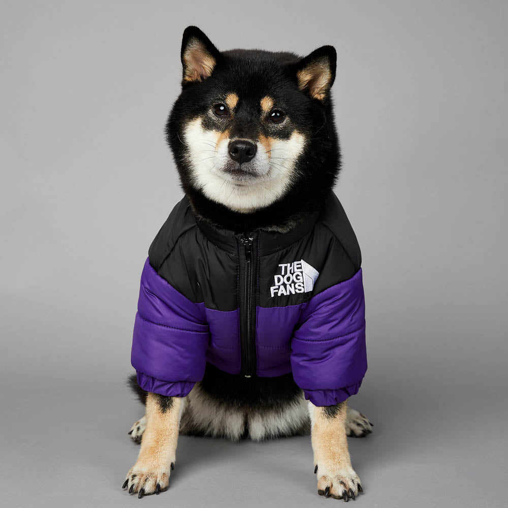 Jaqueta The Dog Fans | Para Cachorro - Roxo