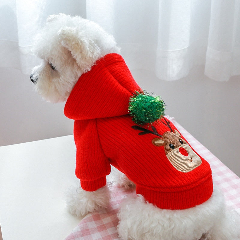 Vestido &/ou Moletom Natalinos | Para Cachorro