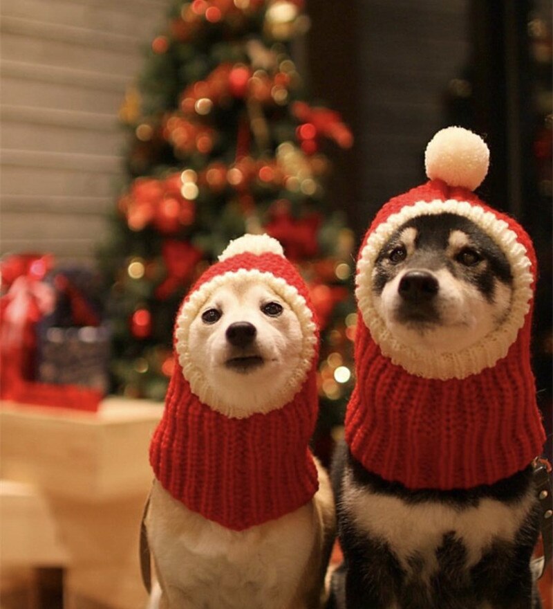 Gorro Papai Noel | Para cachorro e gato