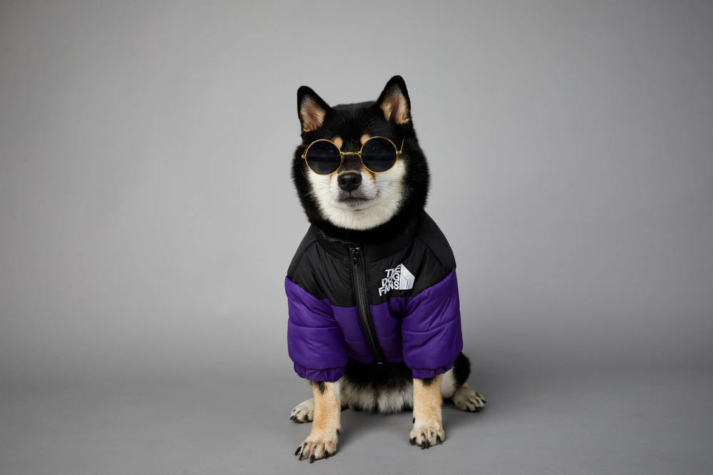 Jaqueta The Dog Fans | Para Cachorro - Roxo