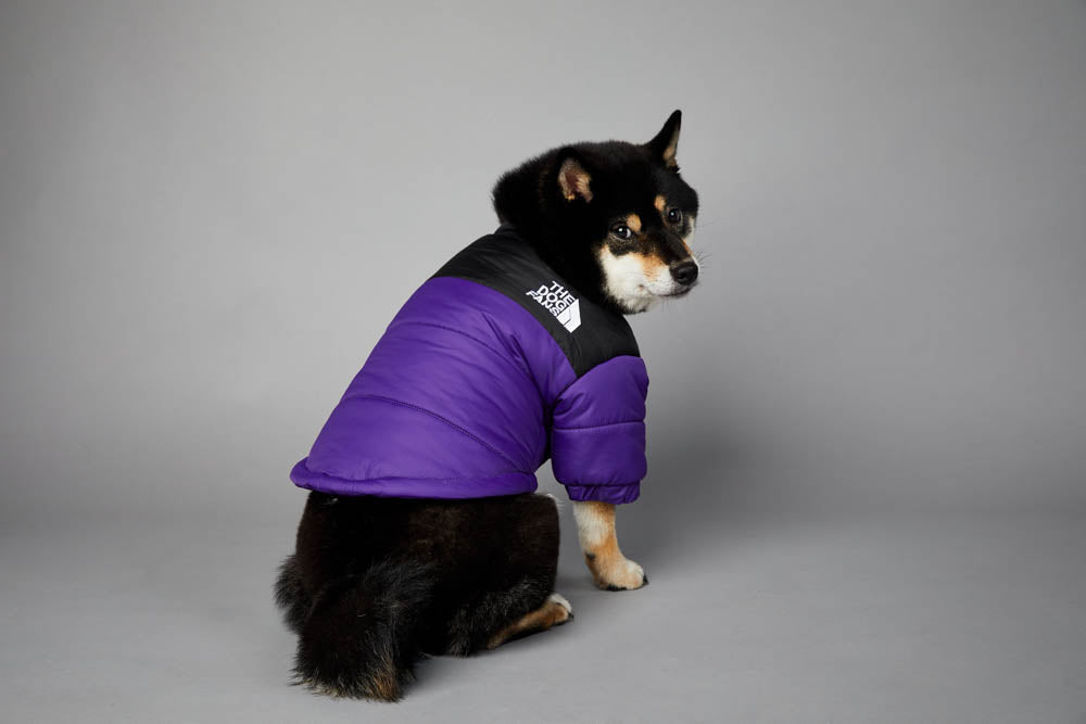 Jaqueta The Dog Fans | Para Cachorro - Roxo