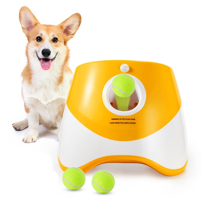 Arremessador Automático De Bolinha para Pet