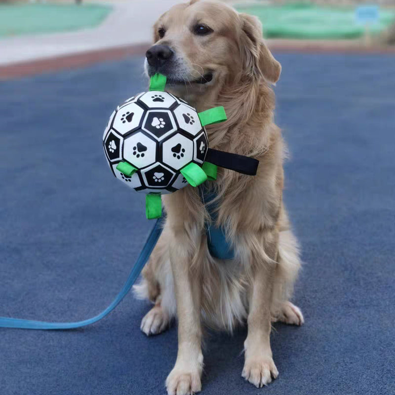 Soccer Ball Petz - A escolha divertida para o seu cãozinho