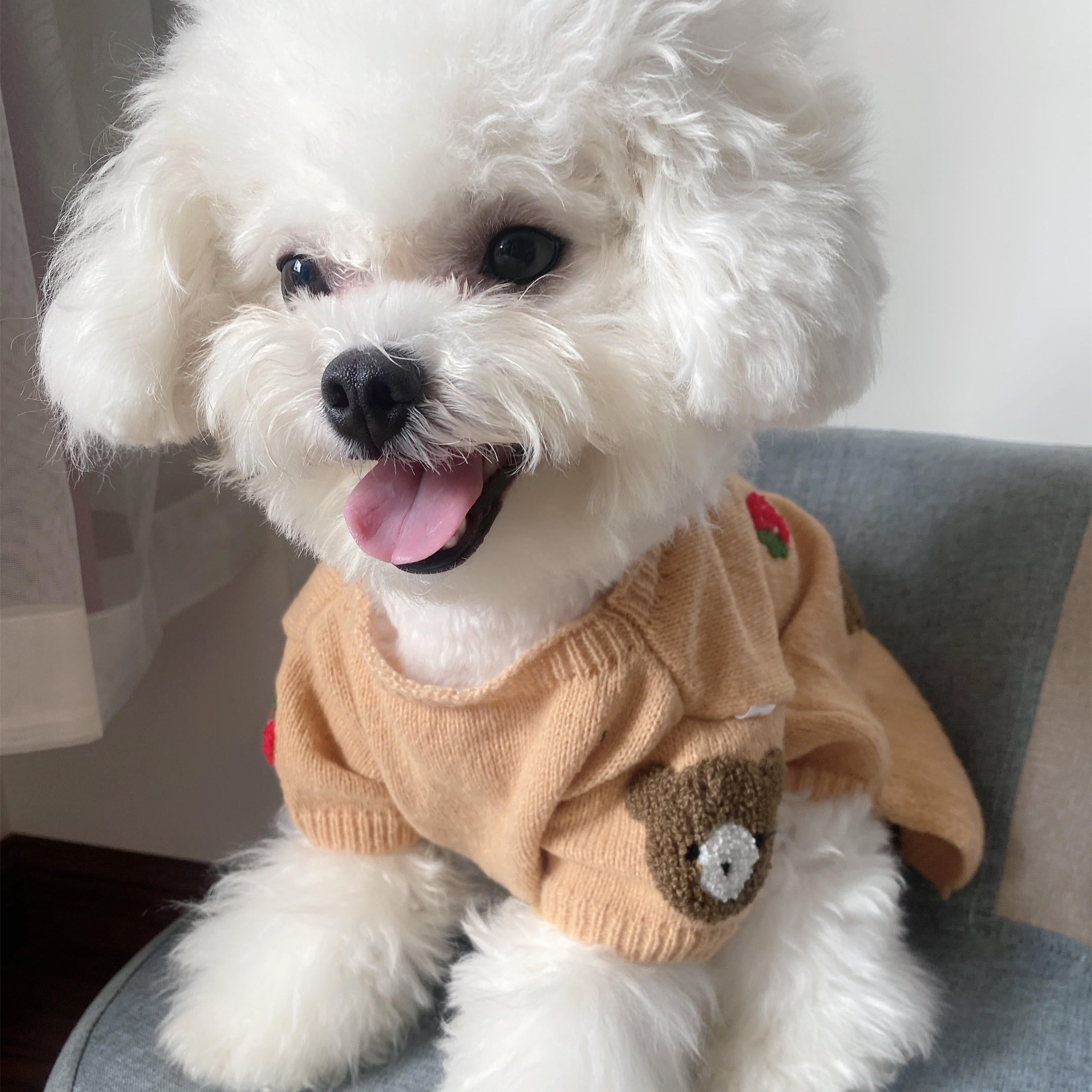 Blusa de Lã Teddy Bear tricotada à mão