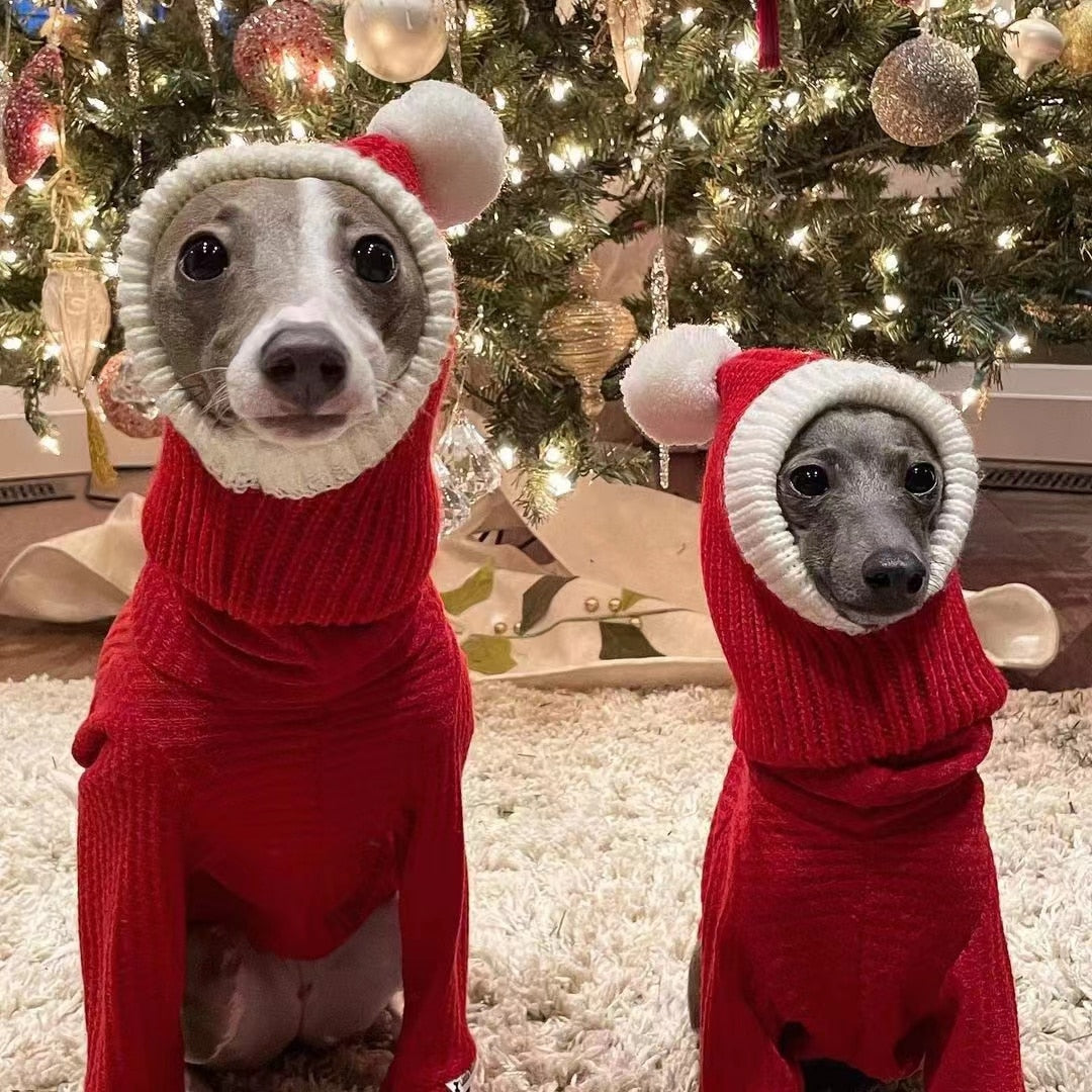 Gorro Papai Noel | Para cachorro e gato