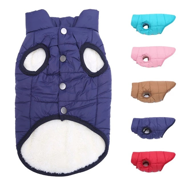 Colete Pet Winter para Cachorro e Gato - Aquecimento e Conforto no Inverno