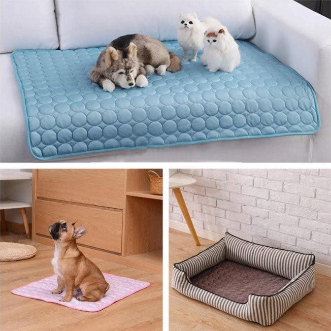 Tapete Lavável Magsafe - Cães e Gatos