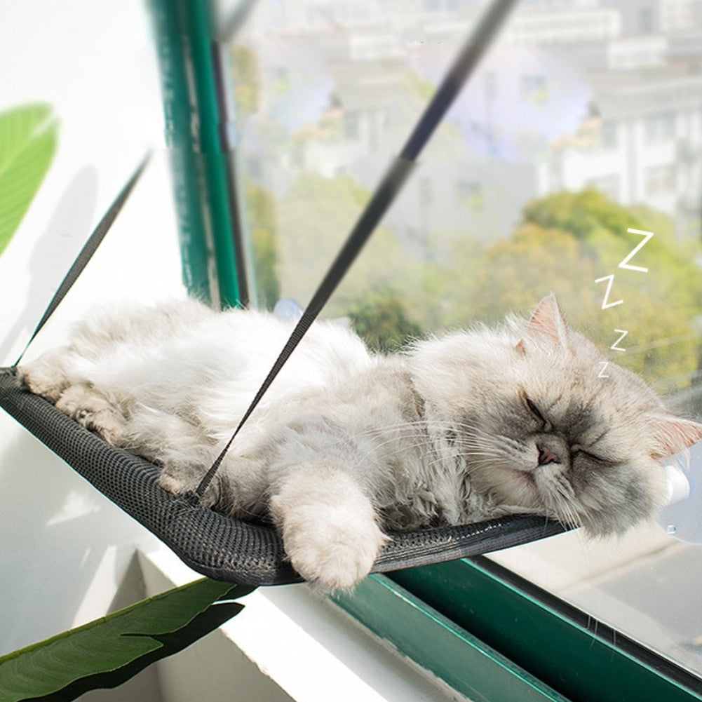 Caminha Suspensa Soft | Para Gato