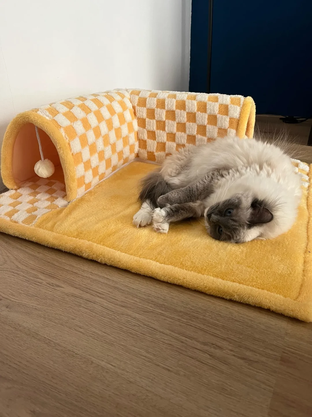 Cama e Túnel para Gatos