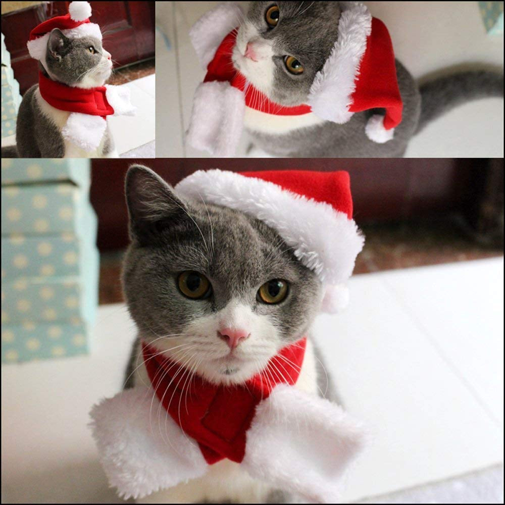 Conjuntinho de Natal Pet | Para Cachorro e Gato