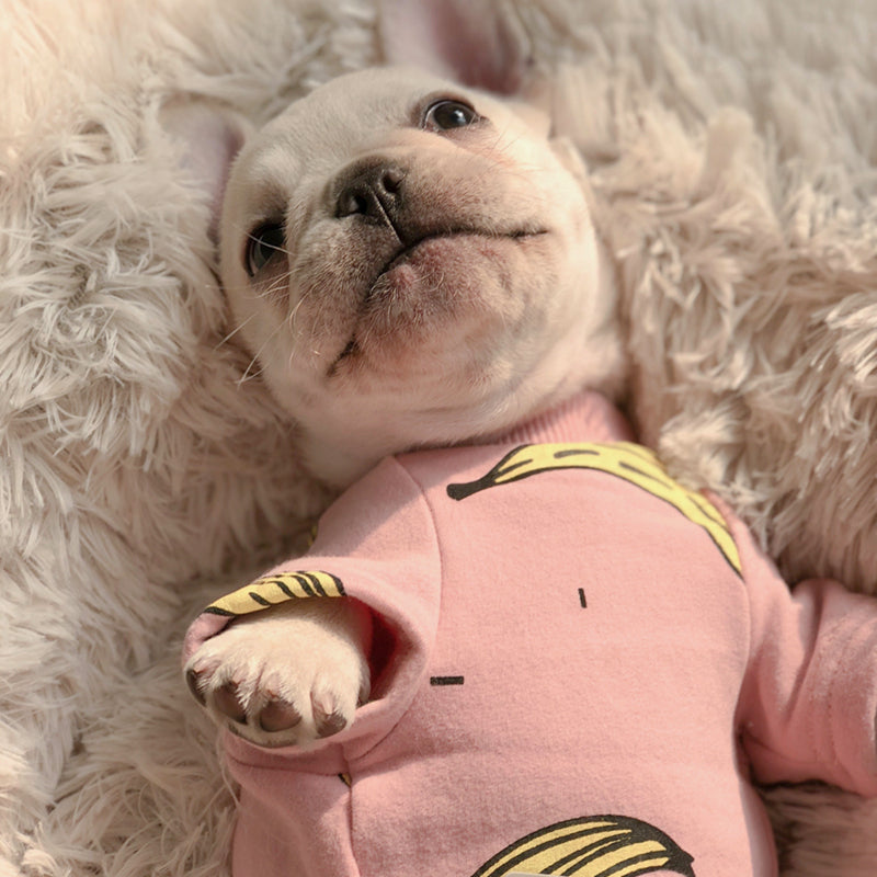 Macacão Bananinha | Para Cachorro