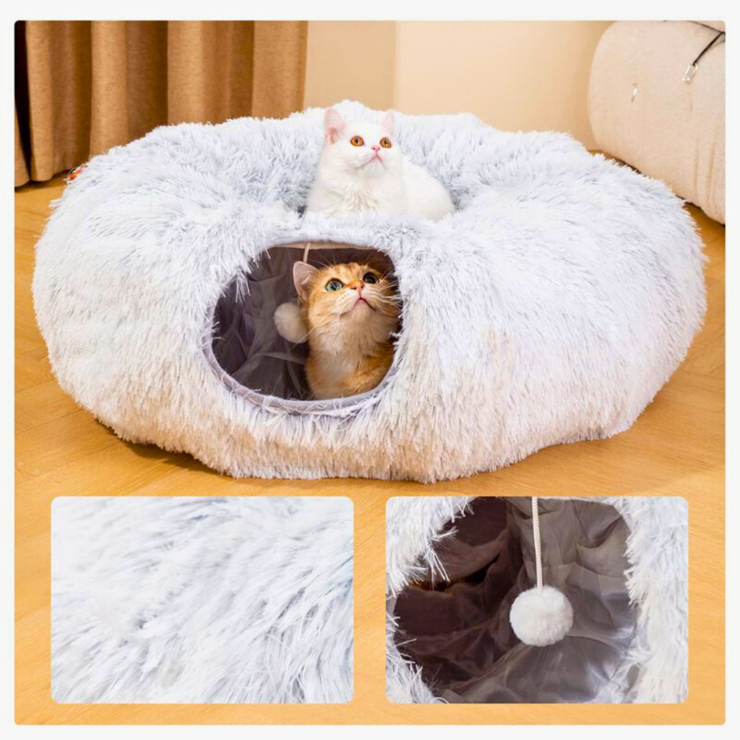 Caminha 2 em 1 | Para Gatos