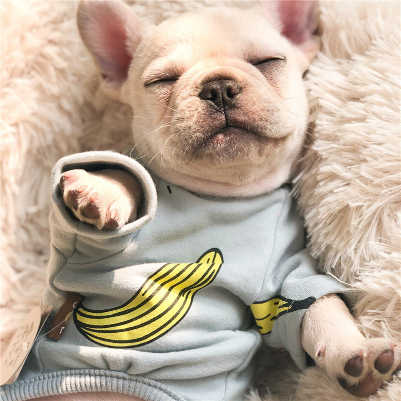 Macacão Bananinha | Para Cachorro