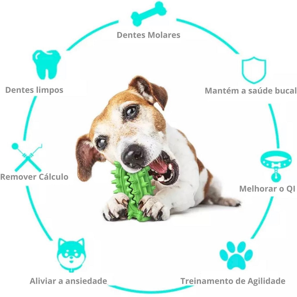 Cabo de Guerra com Porta Petiscos e Mordedor para Cachorro