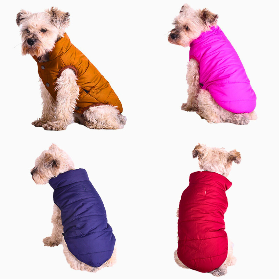 Colete Pet Winter para Cachorro e Gato - Aquecimento e Conforto no Inverno