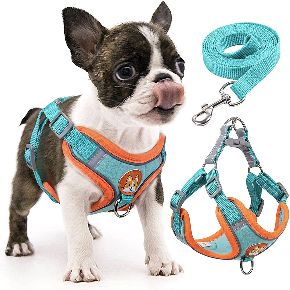 Coleira Peitoral Para Cachorro - Pet Ride