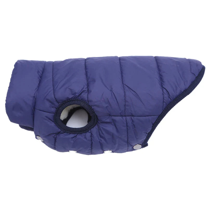 Colete de Frio Pet Sport - Azul