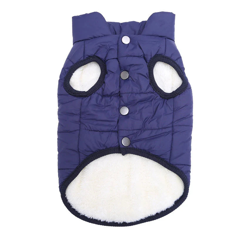 Colete de Frio Pet Sport - Azul