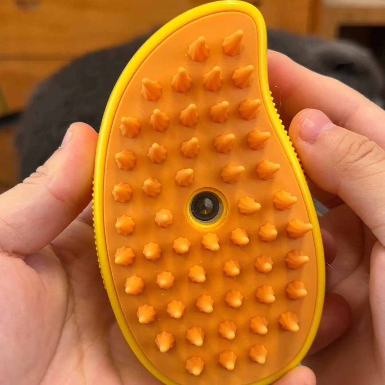 Escova Removedora de Pelos à Vapor - Pet Hair Cleaner