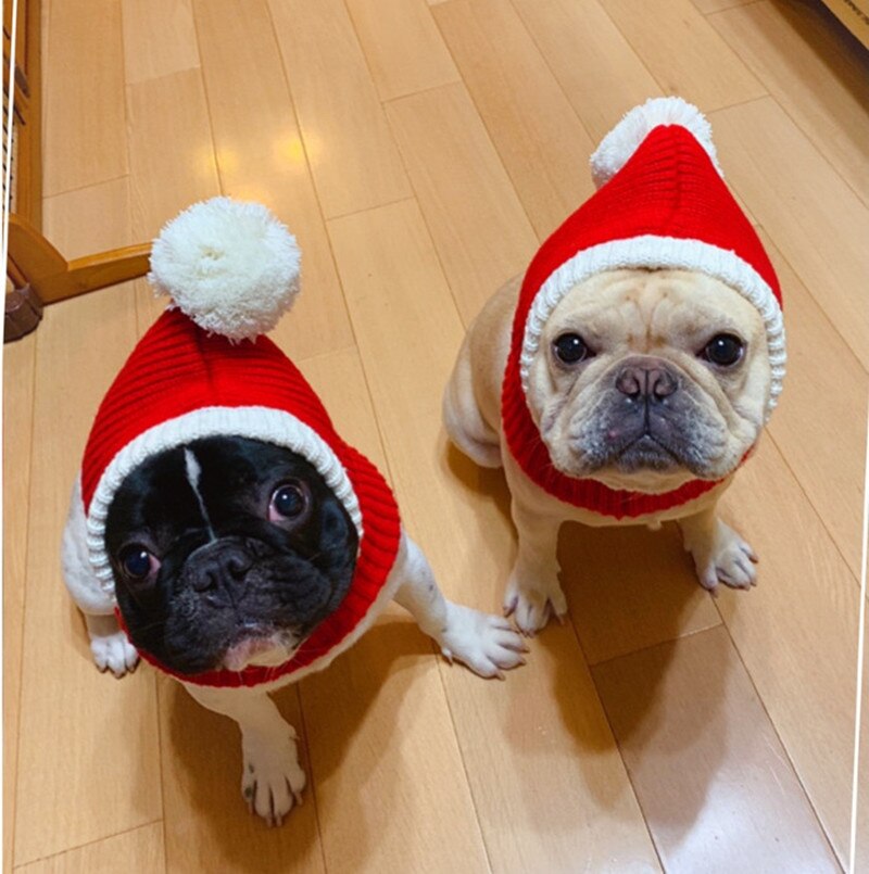 Gorro Papai Noel  | Para cachorro e gato