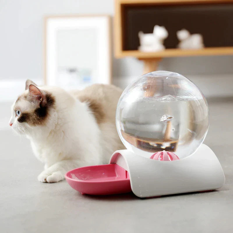 Bebedouro Pet Bolha 2.8L