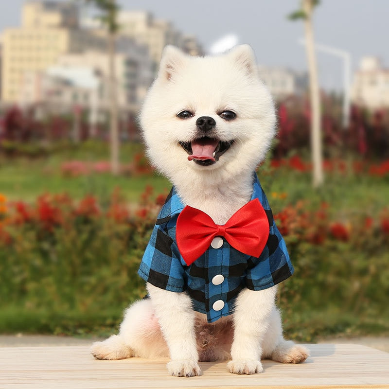 Camisa Pet Adams