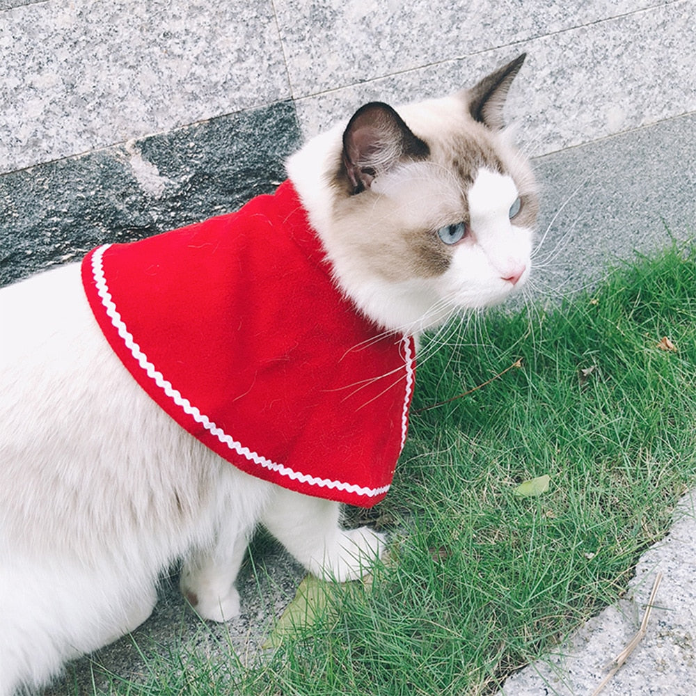 Conjuntinho de Natal Pet | Para Cachorro e Gato