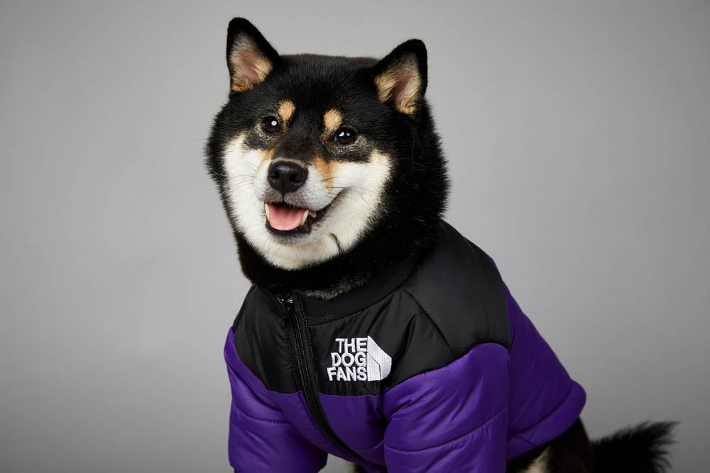 Jaqueta The Dog Fans | Para Cachorro - Roxo