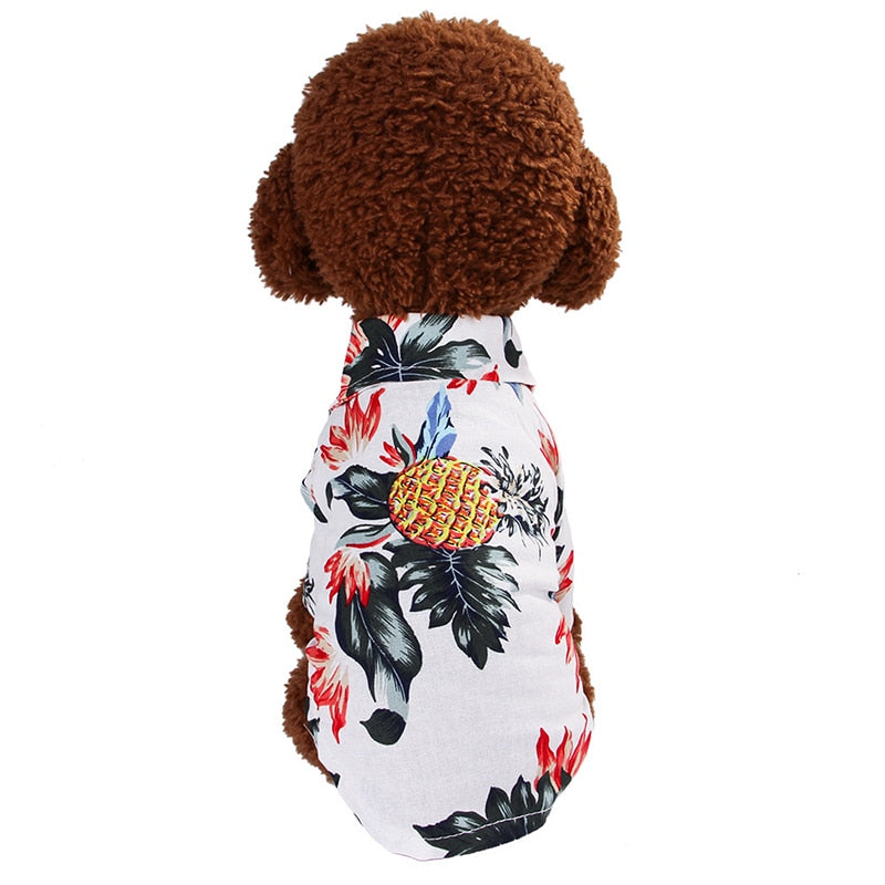 Camisa Pet Tropical
