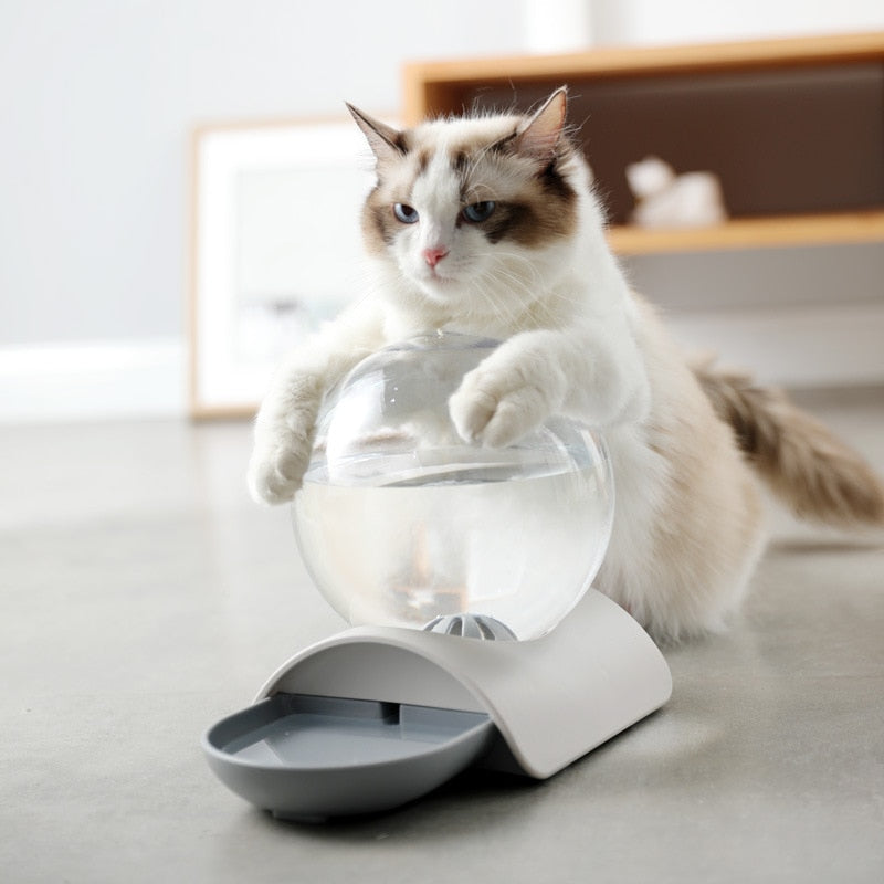 Bebedouro Pet Bolha 2.8L