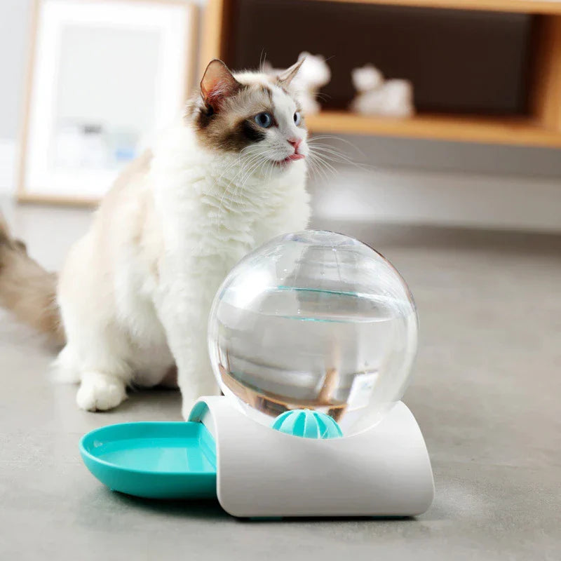 Bebedouro Pet Bolha 2.8L