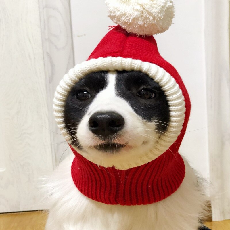 Gorro Papai Noel  | Para cachorro e gato