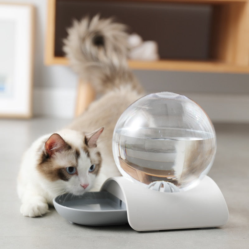 Bebedouro Pet Bolha 2.8L