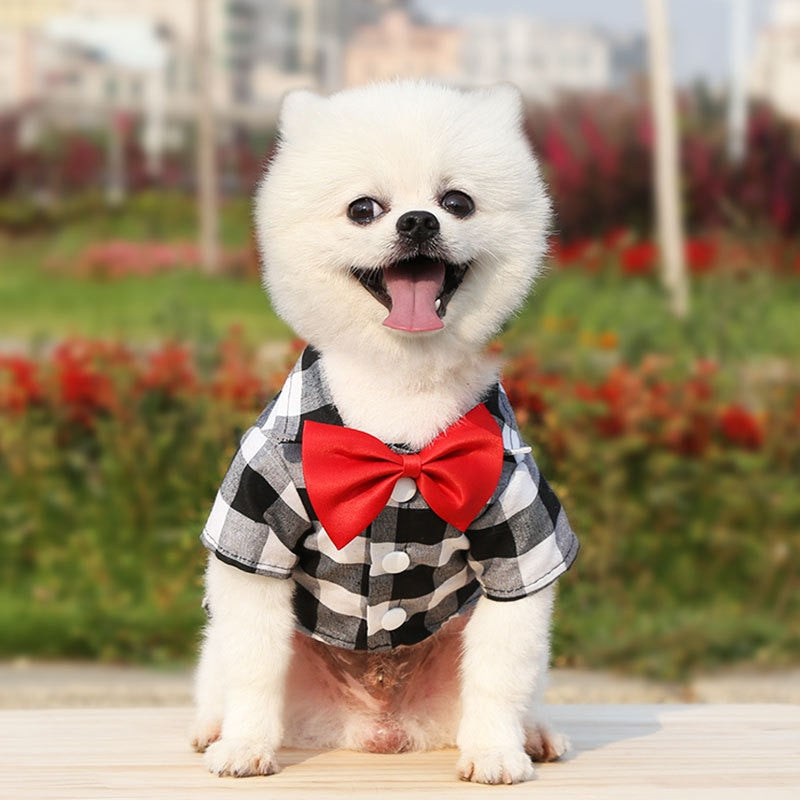 Camisa Pet Adams