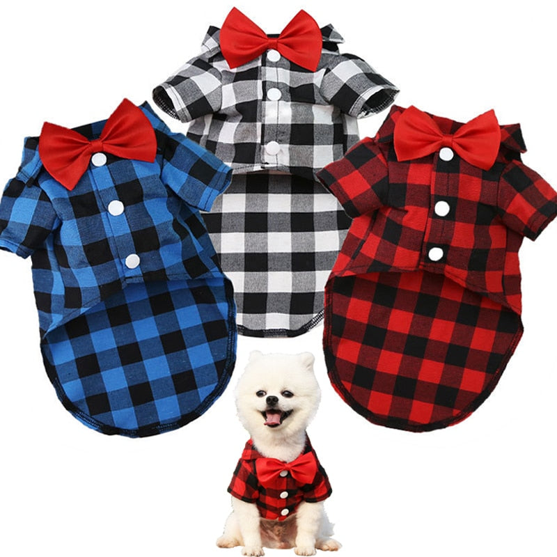 Camisa Pet Adams