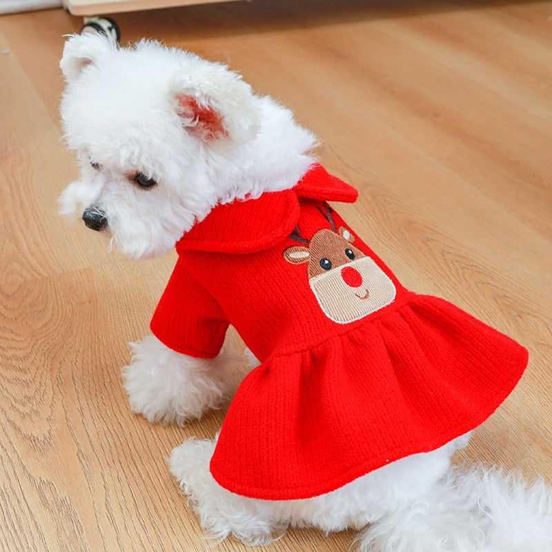 Vestido &/ou Moletom Natalinos | Para Cachorro