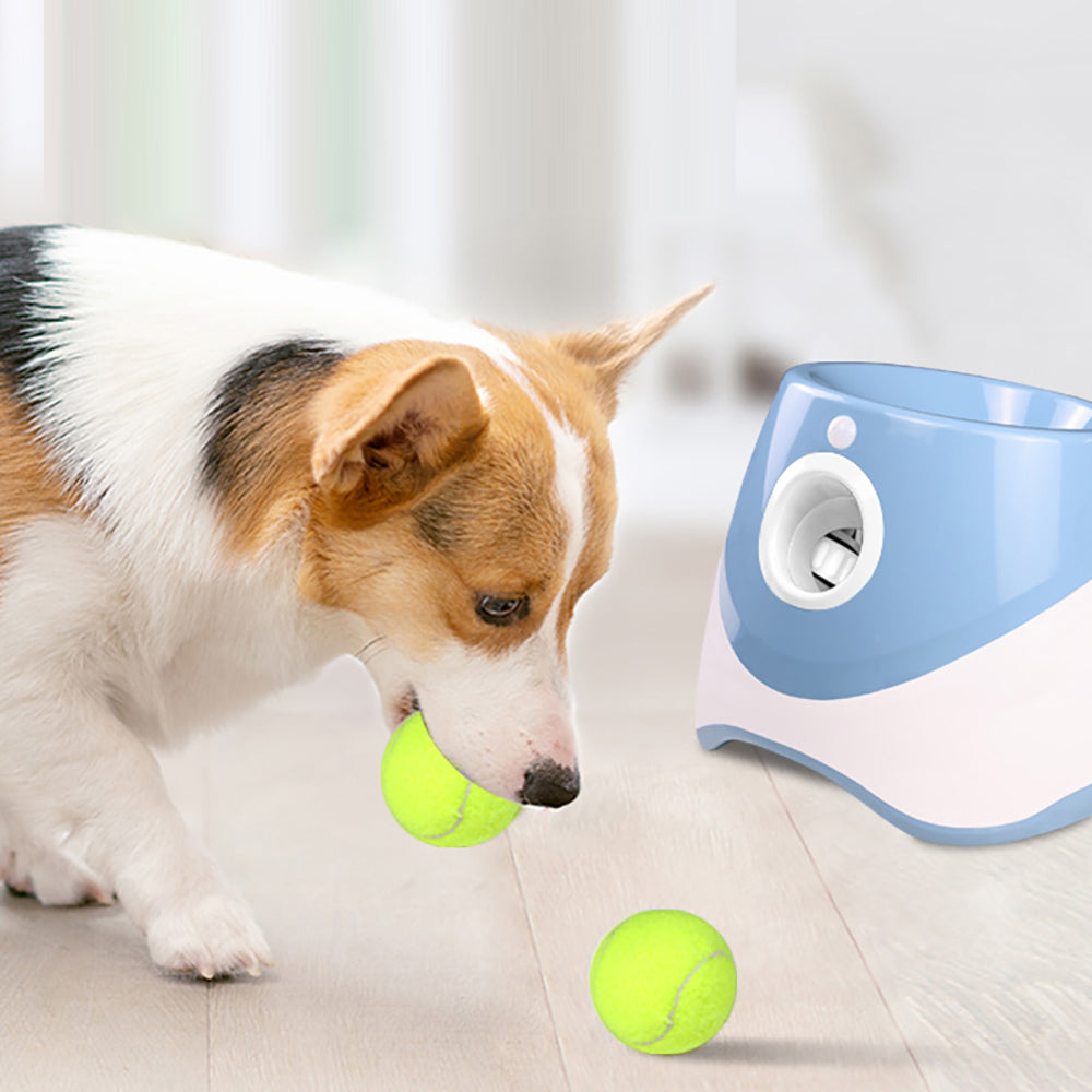 Arremessador Automático De Bolinha Para Cães